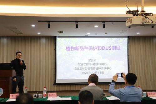 以技術(shù)創(chuàng)新驅(qū)動(dòng)產(chǎn)業(yè)升級(jí) 全國(guó)馬鈴薯種業(yè)高質(zhì)量發(fā)展交流會(huì)在渝召開，共探農(nóng)業(yè)科技研發(fā)新路徑